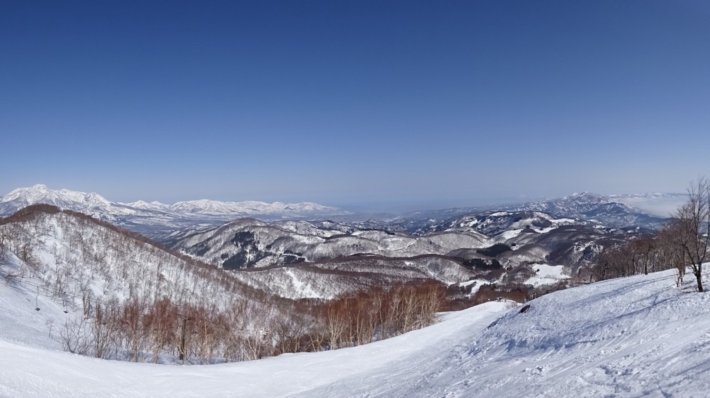 MADARAO | POWDER SKI JAPAN