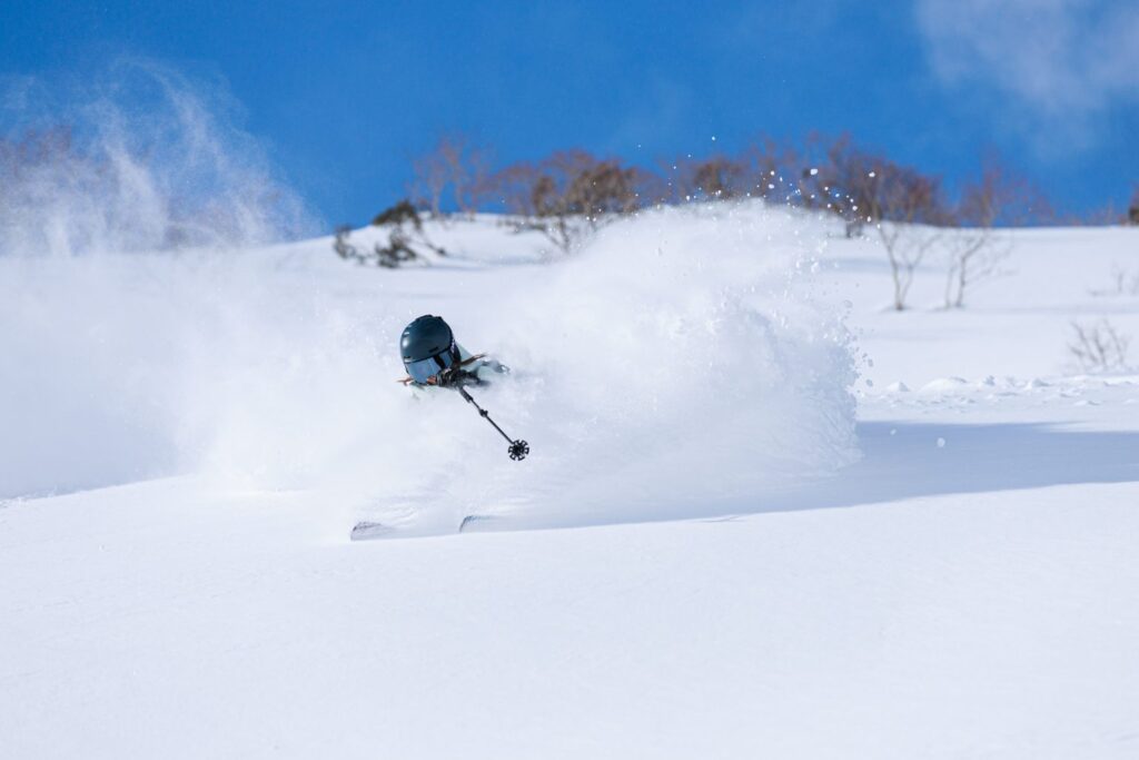 Mt.T ski image