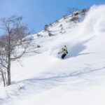 Mt.T image